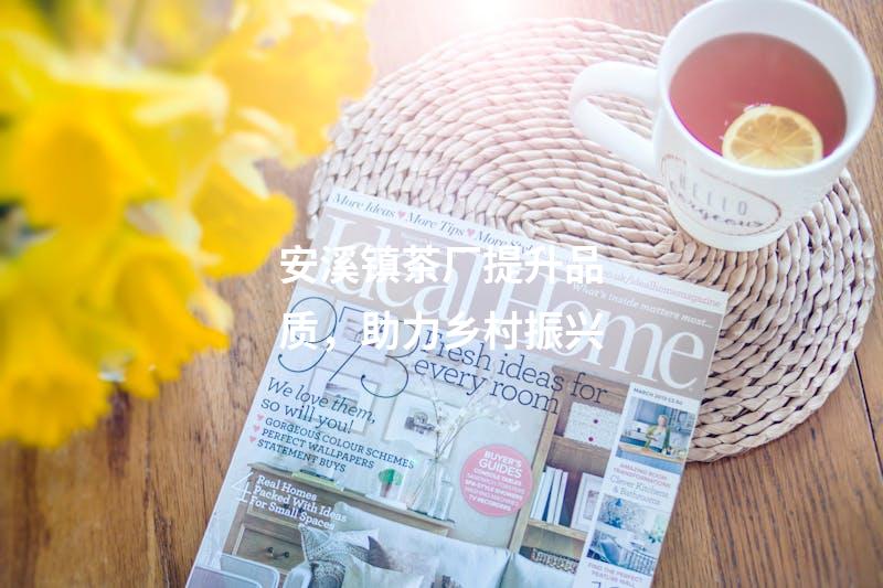 安溪镇茶厂提升品质，助力乡村振兴