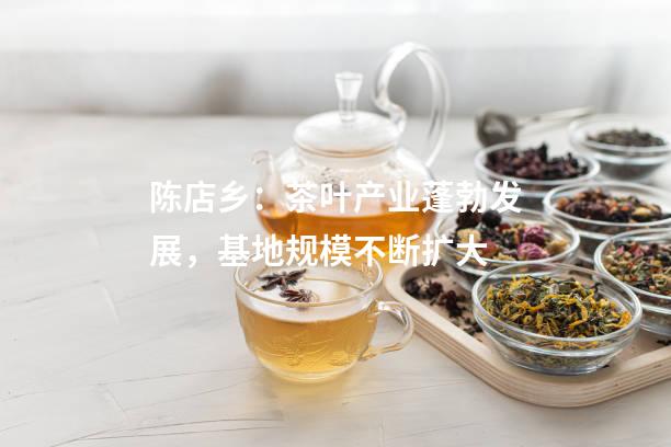 陈店乡：茶叶产业蓬勃发展，基地规模不断扩大