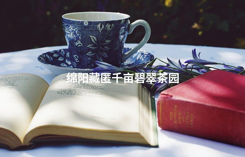 绵阳藏匿千亩碧翠茶园