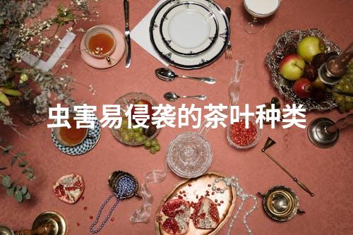 虫害易侵袭的茶叶种类