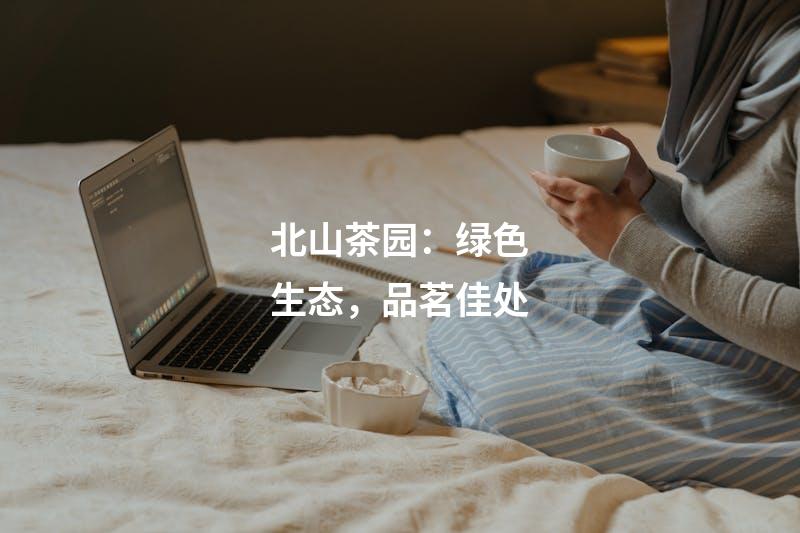 北山茶园：绿色生态，品茗佳处