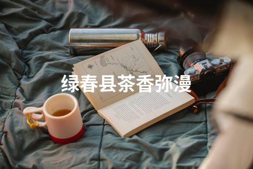 绿春县茶香弥漫