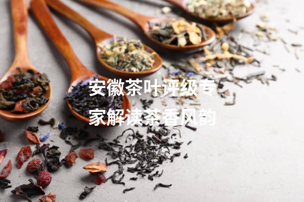 安徽茶叶评级专家解读茶香风韵