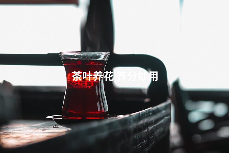 茶叶养花 养分妙用