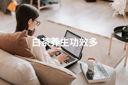 白茶养生功效多