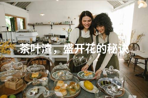 茶叶渣，盛开花的秘诀