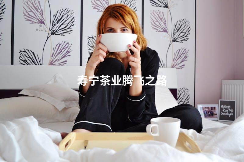 寿宁茶业腾飞之路
