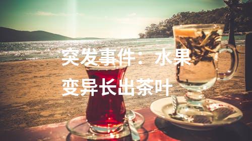 突发事件：水果变异长出茶叶