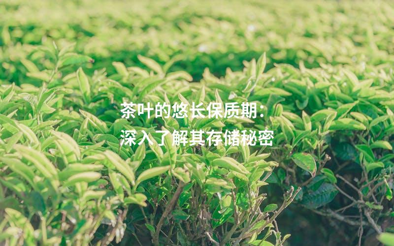 茶叶的悠长保质期：深入了解其存储秘密