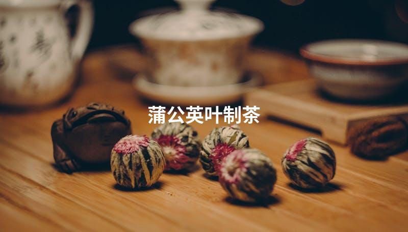 蒲公英叶制茶