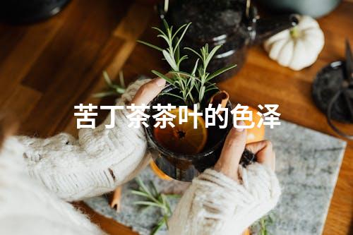 苦丁茶茶叶的色泽