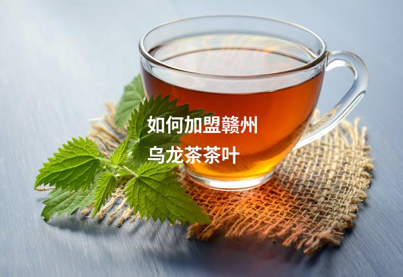 如何加盟赣州乌龙茶茶叶