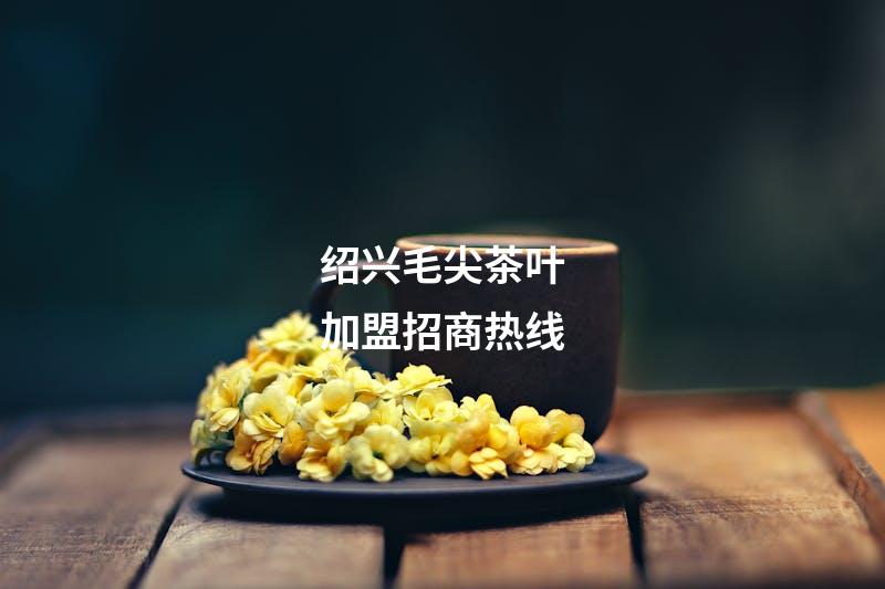 绍兴毛尖茶叶加盟招商热线
