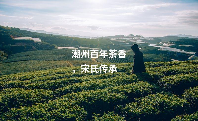 潮州百年茶香，宋氏传承
