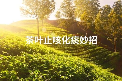 茶叶止咳化痰妙招