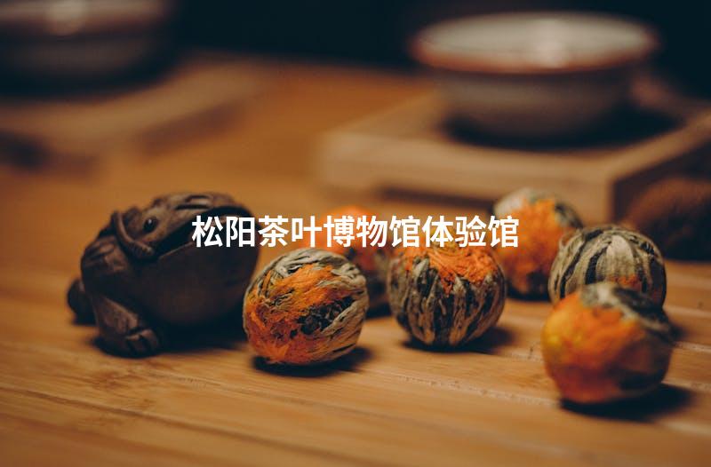 松阳茶叶博物馆体验馆