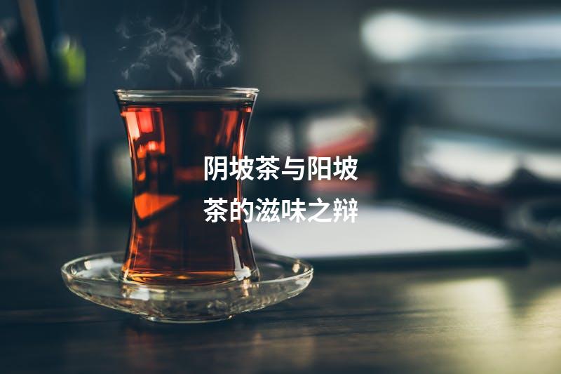 阴坡茶与阳坡茶的滋味之辩
