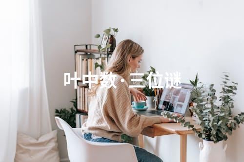 叶中数·三位谜