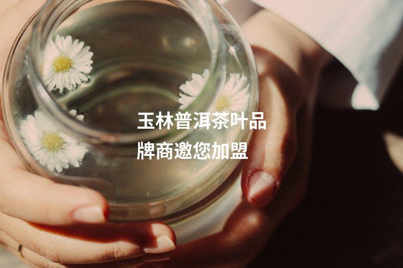 玉林普洱茶叶品牌商邀您加盟