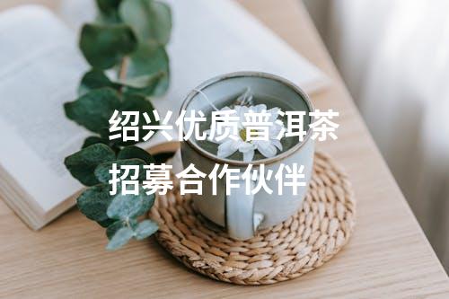 绍兴优质普洱茶招募合作伙伴