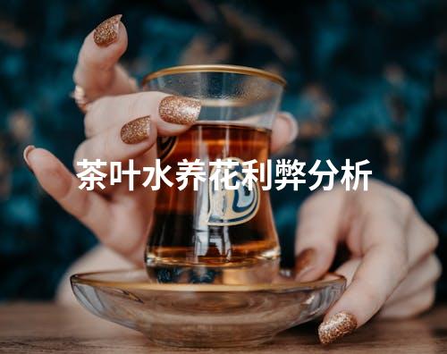 茶叶水养花利弊分析