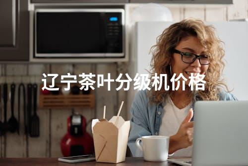 辽宁茶叶分级机价格