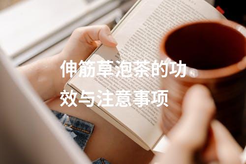 伸筋草泡茶的功效与注意事项