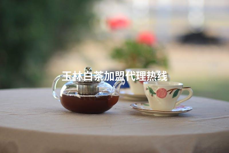 玉林白茶加盟代理热线