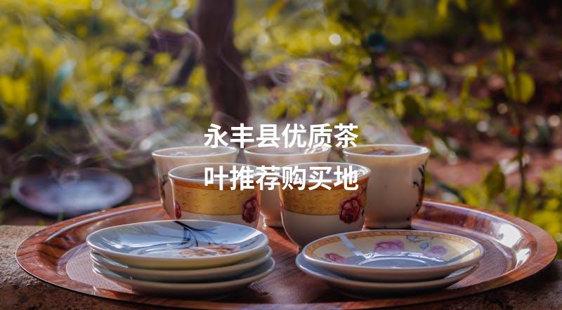 永丰县优质茶叶推荐购买地