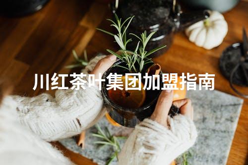 川红茶叶集团加盟指南