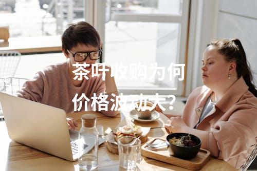 茶叶收购为何价格波动大？