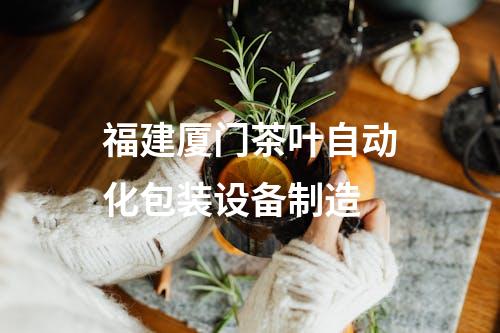 福建厦门茶叶自动化包装设备制造