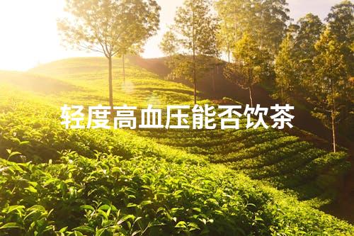 轻度高血压能否饮茶
