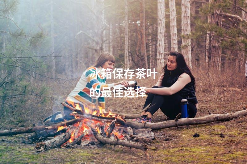 冰箱保存茶叶的最佳选择