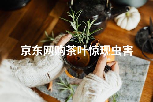 京东网购茶叶惊现虫害