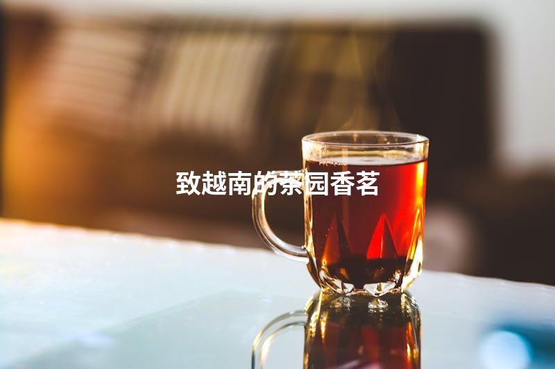 致越南的茶园香茗