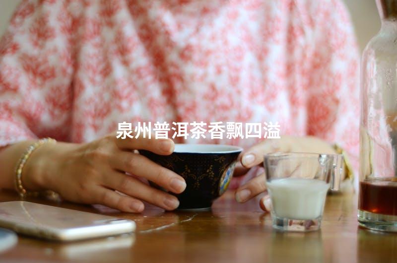 泉州普洱茶香飘四溢