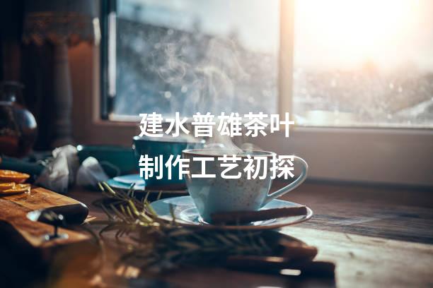 建水普雄茶叶制作工艺初探
