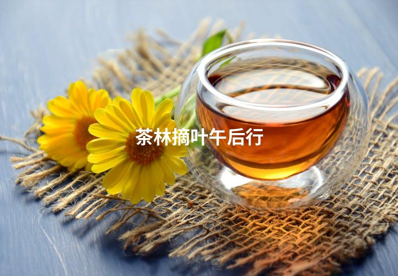 茶林摘叶午后行