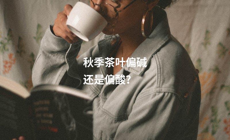 秋季茶叶偏碱还是偏酸？