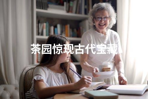 茶园惊现古代宝藏