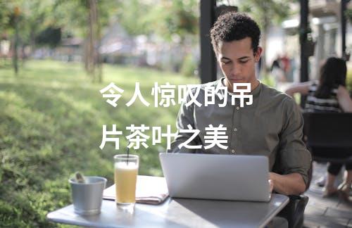 令人惊叹的吊片茶叶之美