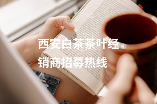西安白茶茶叶经销商招募热线