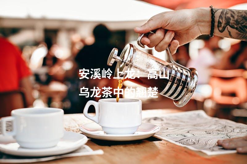 安溪岭上龙：高山乌龙茶中的翘楚