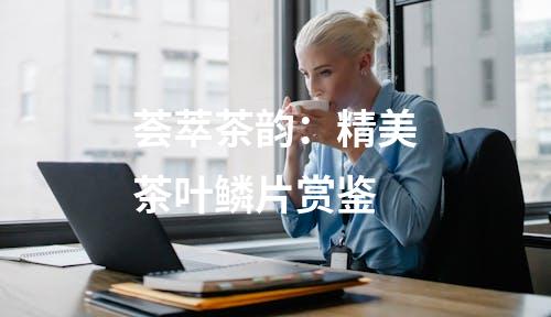 荟萃茶韵：精美茶叶鳞片赏鉴