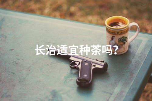 长治适宜种茶吗？