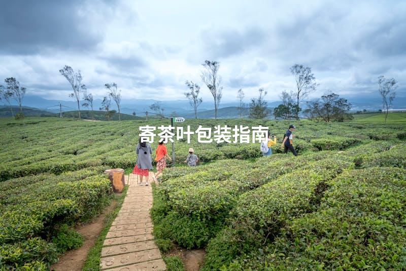 寄茶叶包装指南