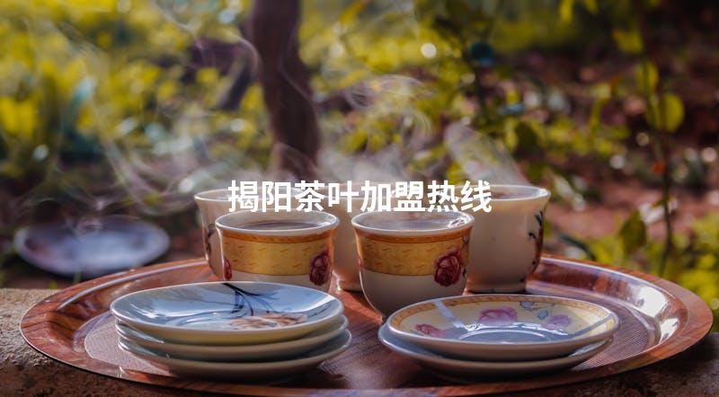 揭阳茶叶加盟热线