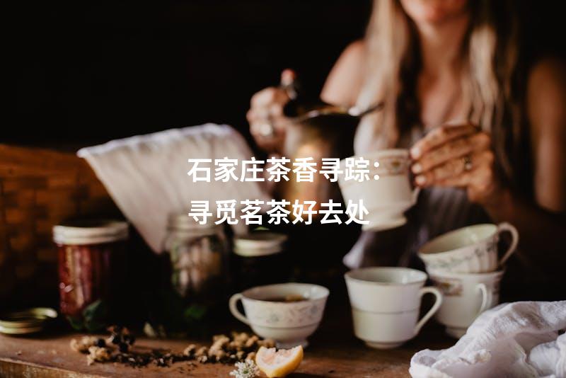 石家庄茶香寻踪：寻觅茗茶好去处