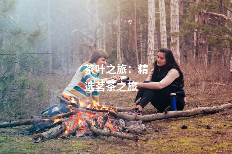 茶叶之旅：精选茗茶之旅